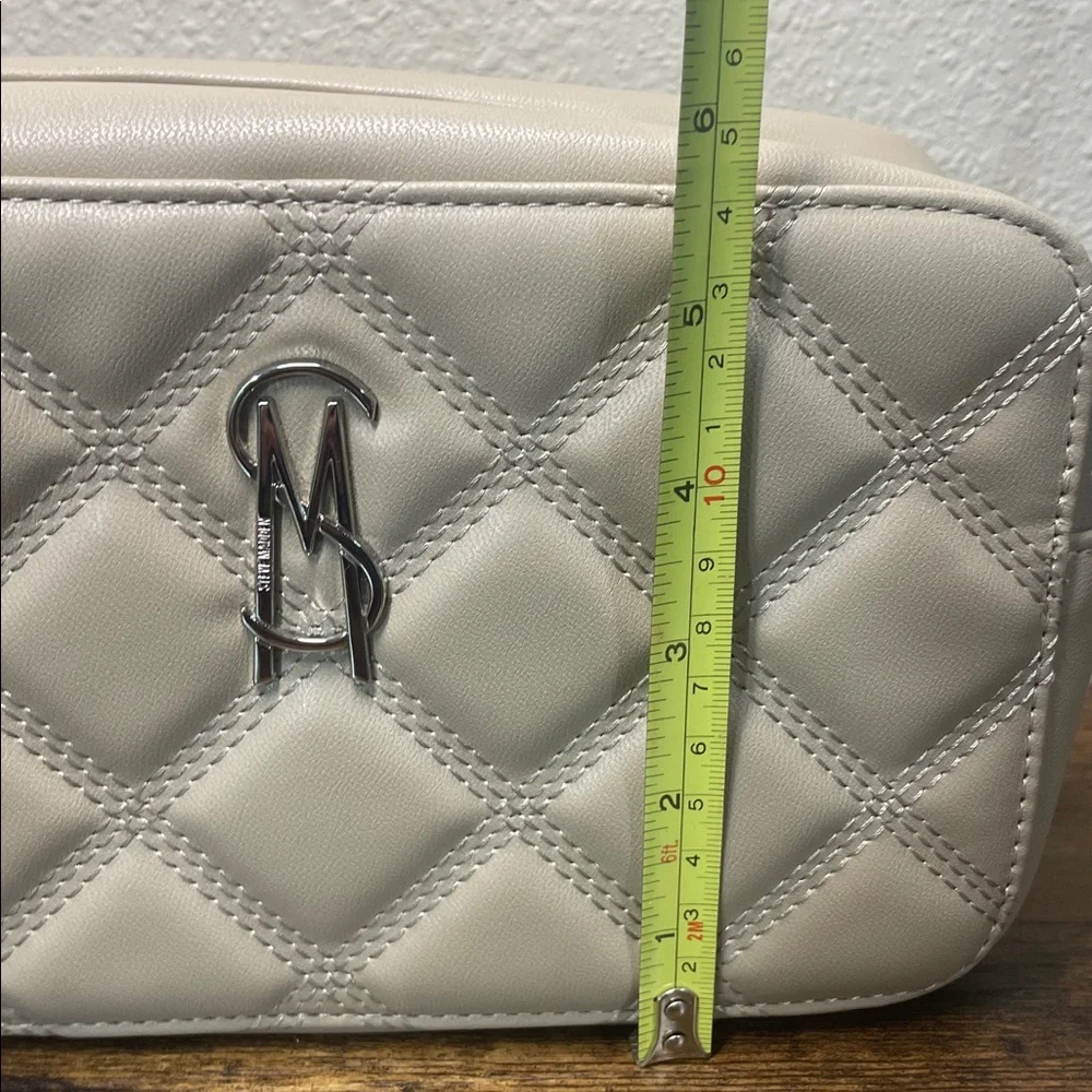 Steve Madden Wallie Taupe Leather Crossbody Bag